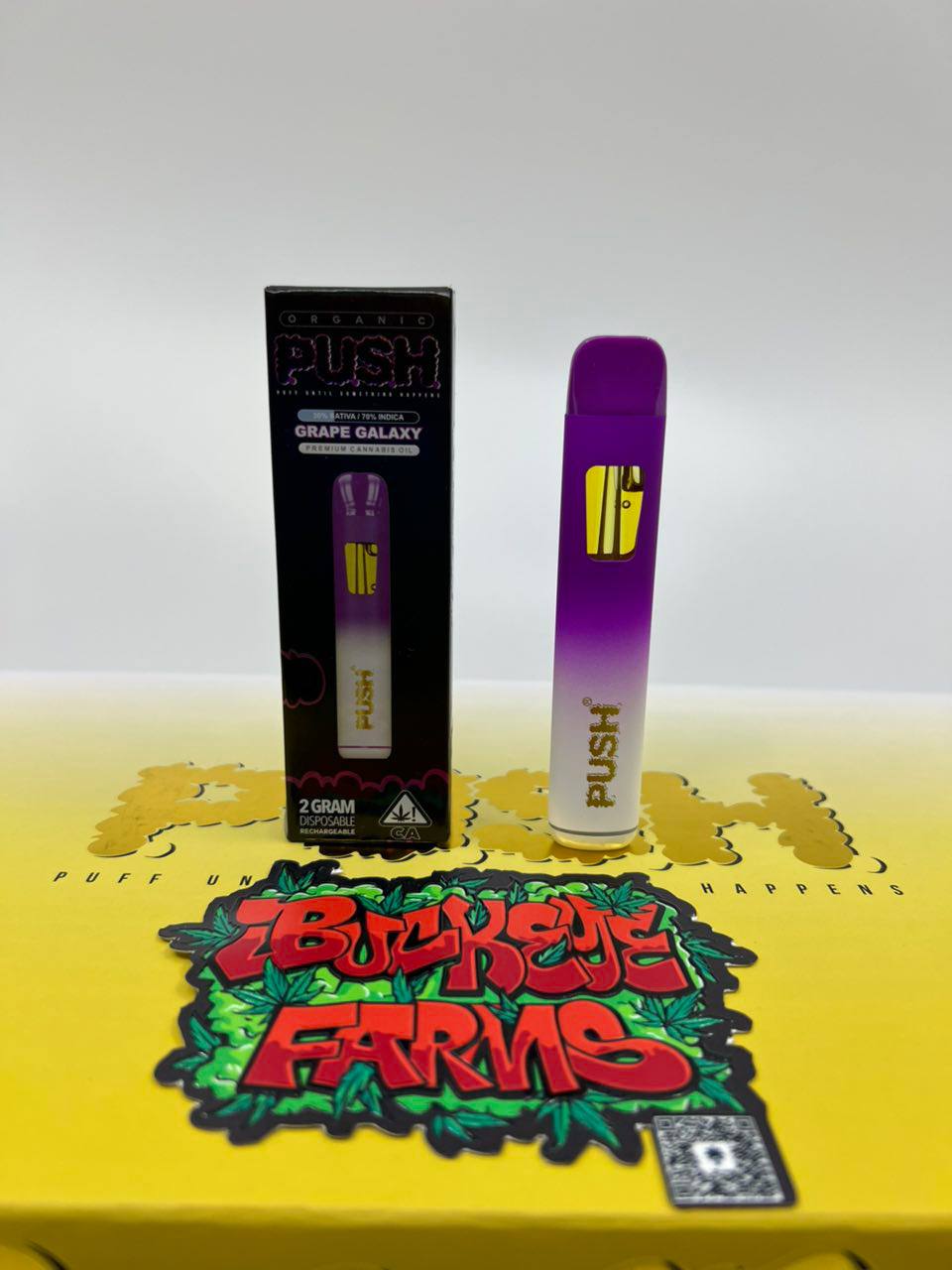 PUSH PREMIUM CANNABIS OIL 2 GRAM DISPOSABLES