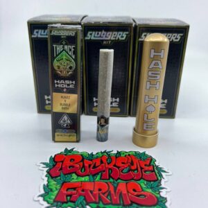 SLUGGERS HIT HASH HOLES