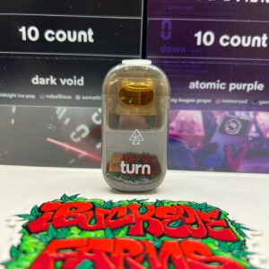 NEW TURN 2 GRAM DISPOSABLES